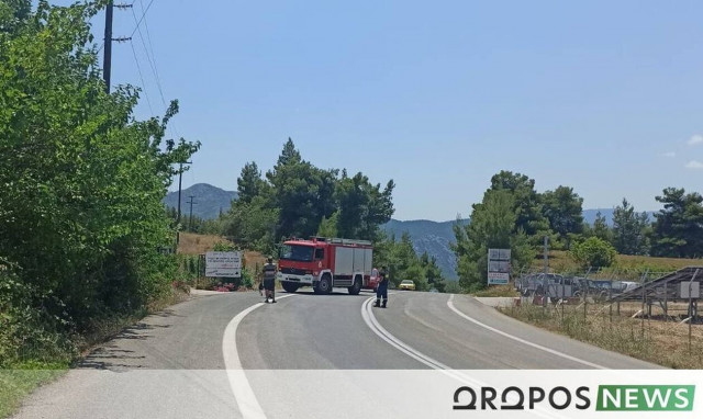 Μαρκόπουλο Ωρωπού: Πυρκαγιά σε δασική έκταση - Κλείνουν δρόμοι