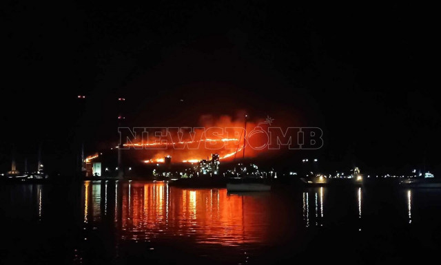 Φωτιά στην Εύβοια: Ξεφεύγει το μέτωπο στο Αλιβέρι – Βίντεο και φωτογραφίες