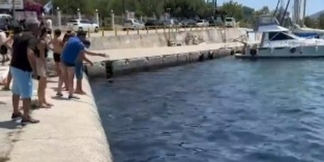 Χαλκιδική: Έσπασε βυτίο με λάδια και γέμισε τον κόλπο του Πόρτο Κουφό