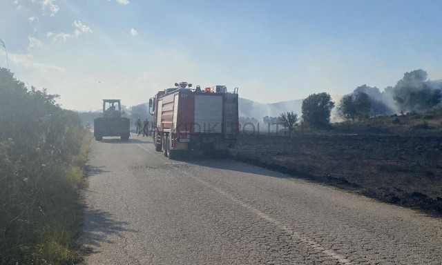 Φωτιά στη Χαλκιδική: Μάχη των πυροσβεστών για να μην επεκταθεί