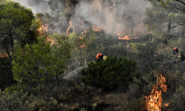 Φωτιά, πυροσβέστες