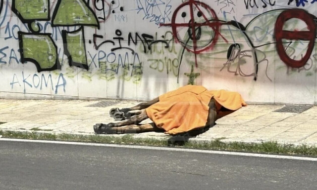Κέρκυρα: Ξεσπούν οι φιλόζωοι για τον θάνατο του αλόγου - «Εδώ και χρόνια φωνάζουμε για τις άμαξες»