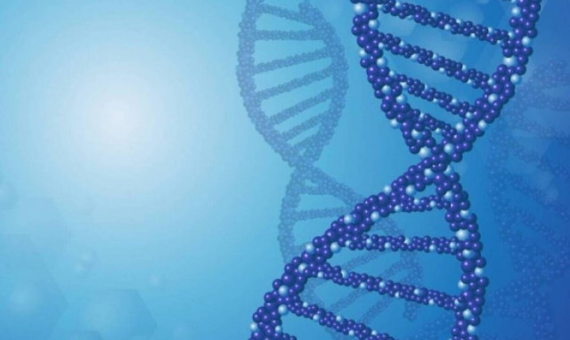 Κομμώτριες, αισθητικοί και λογίστριες μπορεί να διατρέχουν αυξημένο κίνδυνο καρκίνου των ωοθηκών