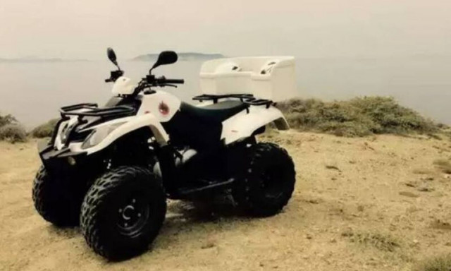 Κύπρος: Σε εξέλιξη επιχείρηση διάσωσης -  «Γουρούνα» έπεσε σε γκρεμό