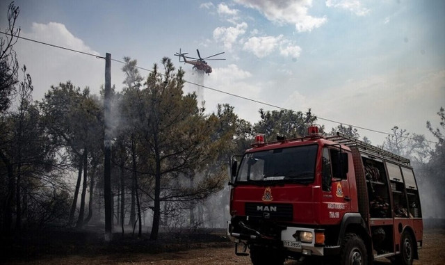 Απαγόρευση της κυκλοφορίας στα δάση: Τι προβλέπει το σχέδιο της Πυροσβεστικής για τον καύσωνα (vid)