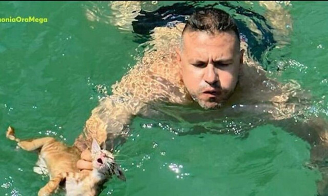 Σαλαμίνα: Μέλος πληρώματος ferry boat βούτηξε για να σώσει γατάκι που πνιγόταν