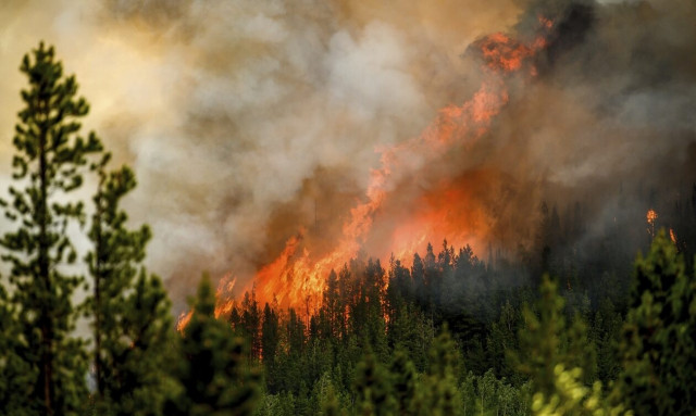 Εκατοντάδες πυρκαγιές στον Καναδά - Νεκρή μία νεαρή πυροσβέστης