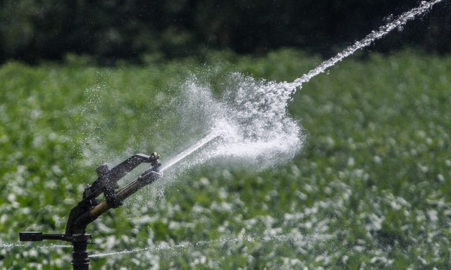 Καύσωνας Κλέων: Συστάσεις προς τους παραγωγούς για την άρδευση των καλλιεργειών