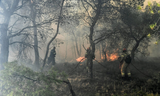 Φωτιά: Υψηλός κίνδυνος πυρκαγιάς την Παρασκευή 14 Ιουλίου - Αναλυτικός χάρτης