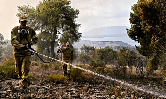 Δήμαρχος Θήβας στο Newsbomb.gr για τη φωτιά: «Όλα είναι υπό έλεγχο»