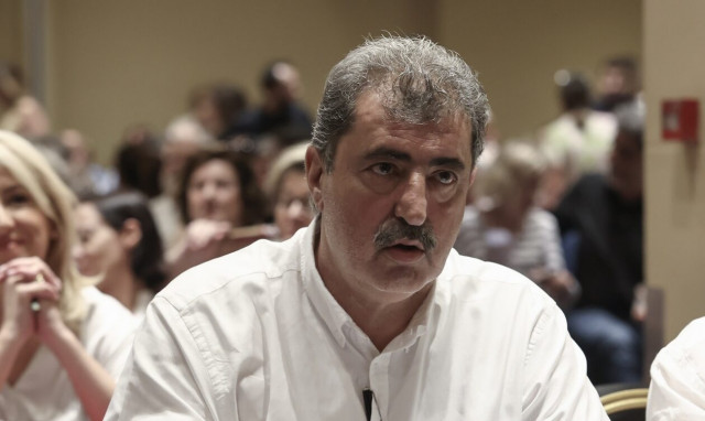 Πολάκης: Κανείς στον ΣΥΡΙΖΑ δεν είδε το φορτηγό που ερχόταν καταπάνω μας