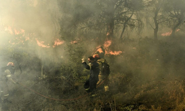 Φωτιά στον Πρόδρομο Βοιωτίας: Ήχησε το 112 για εκκένωση της παραλίας Σαράντη