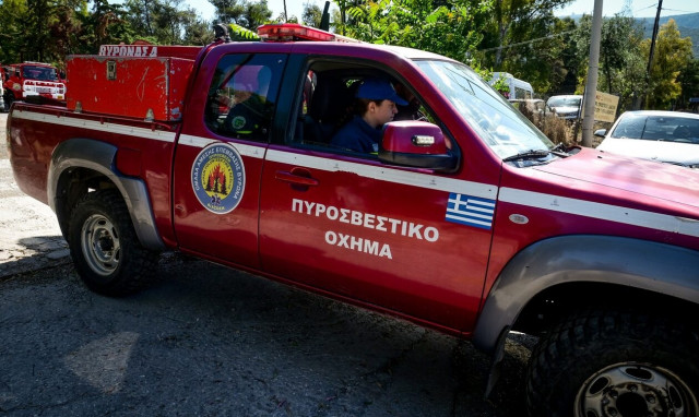 Φωτιά στη Βοιωτία: Οριοθετήθηκε η πυρκαγιά μετά από ολονύχτια «μάχη» - Ισχυρές δυνάμεις στο σημείο