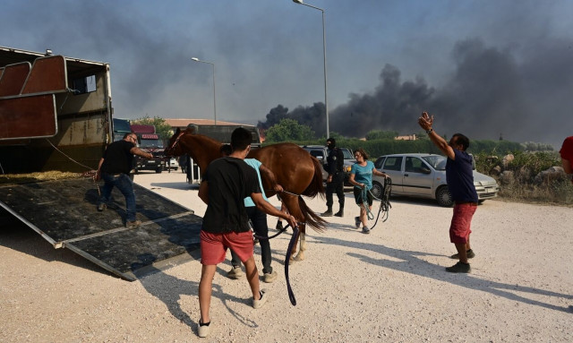 Φωτιά τώρα - ΥΠΕΣ: Μην εγκαταλείπετε τα κατοικίδιά σας - «Κάθε ζωή έχει αξία»