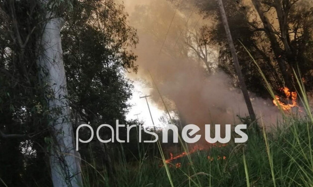 Φωτιά τώρα στο Λάππα Αχαΐας