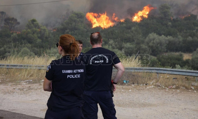 Φωτιά τώρα: Μεγάλη αναζωπύρωση σε Μάνδρα και Δερβενοχώρια