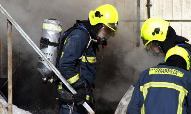 Φωτιά στην Κύπρο: Κινδυνεύει καταφύγιο ζώων από την πυρκαγιά στην Γιόλου