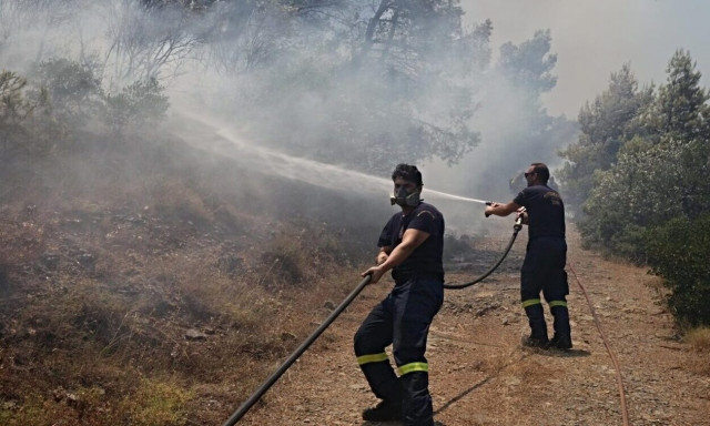 Φωτιά στην Τανάγρα - Καίει δασική έκταση