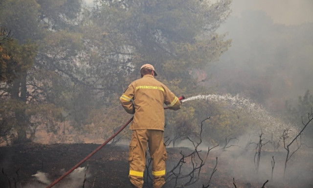 Άμεσα ελέγχθηκαν οι φωτιές σε Δράμα, Βοιωτία και Μεσσηνία