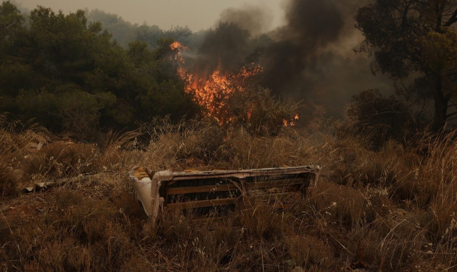 Λέκκας: Δεν μπορούμε να χάσουμε άλλο πράσινο στην Αττική - Δεν μπορεί να αναγεννηθεί