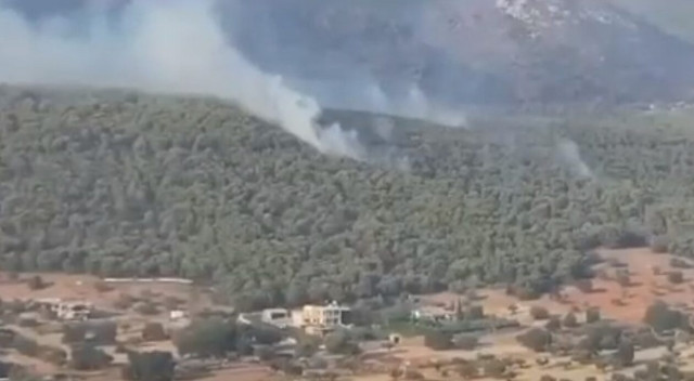 Βίντεο από το drone της Πυροσβεστικής: Κρανίου τόπος η Νέα Ζωή Μάνδρας - Πώς πέρασε η φωτιά