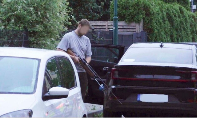 Συναγερμός στο Βερολίνο: Πληροφορίες για λέαινα που κυκλοφορεί ελεύθερη - «Μείνετε στα σπίτια σας»