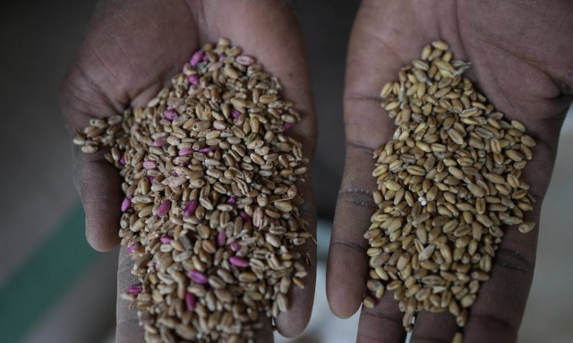 Ουκρανία: Στα ύψη οι τιμές σιτηρών μετά την κατάρρευση του «ντιλ» - Έρχεται νέα επισιτιστική κρίση ;