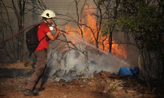 Πυροσβεστική: Αναζωπυρώσεις σε Δυτική Αττική, Ρόδο και Λακωνία - 52 νέες πυρκαγιές