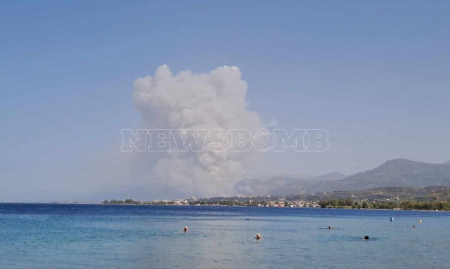 Φωτιά τώρα στο Δερβενάκι Αχαΐας - Άμεση κινητοποίηση της πυροσβεστικής