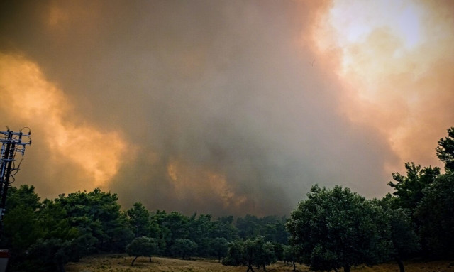 Φωτιά στη Ρόδο - Εκπρόσωπος Τύπου Πυροσβεστικής: Έχουν κληθεί άτομα για καταθέσεις
