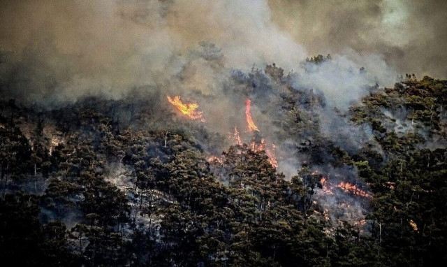 Φωτιά σε αγροτοδασική έκταση στην Αγία Τριάδα Μεσσηνίας