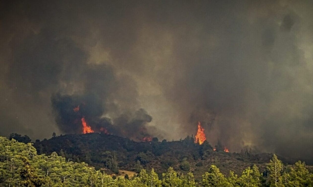 Καλαμάτα: Νέα προθεσμία για να απολογηθεί τη Δευτέρα πήρε ο 30χρονος «πυρομανής»