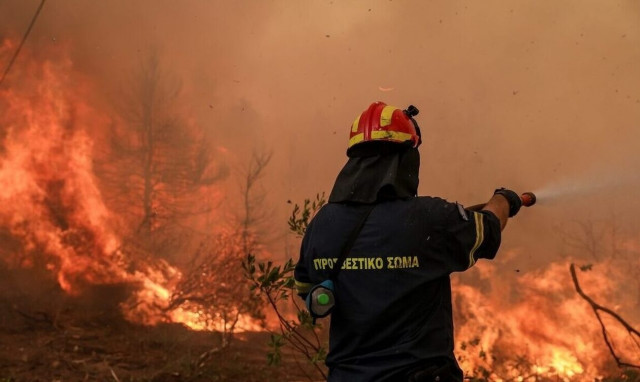 Φωτιά στον Αστακό Αιτωλοακαρνανίας