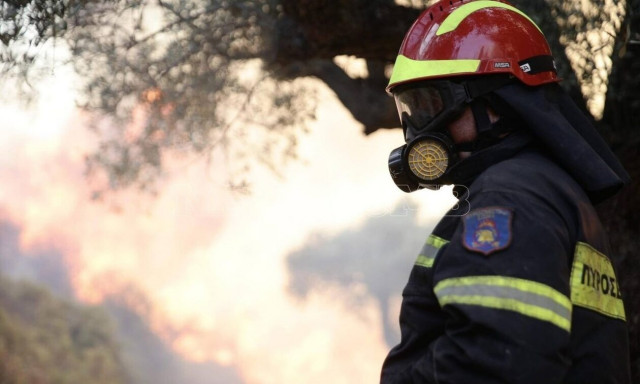 Άδωνις Γεωργιάδης: 534 ευρώ επίδομα για 3 μήνες στους εργαζόμενους σε πυρόπληκτες επιχειρήσεις