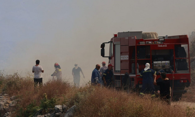 Πήλιο: Υπό πλήρη έλεγχο η φωτιά - Ξεκίνησε από βραχυκύκλωμα σε αυτοκίνητο