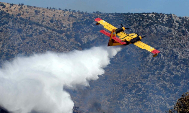 Δεν θέλουμε άλλους «αθάνατους», θέλουμε ζωντανούς !