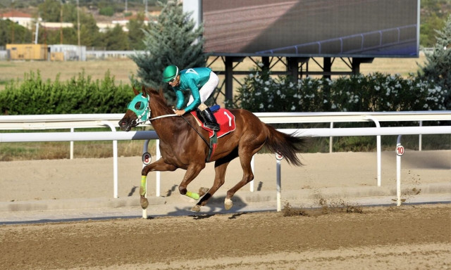 Markopoulo Park: Δύο νικητές στο Σύνθετο Δίδυμο κέρδισαν από 2.188 ευρώ
