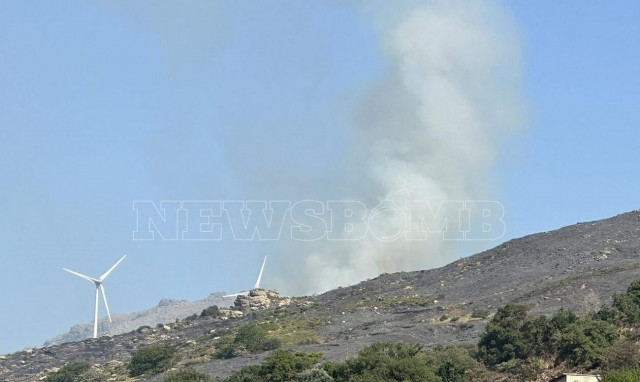Λευτέρης Ραβιόλος: Καλύτερη η εικόνα στην Κάρυστο - «Φαίνεται πως ηρεμούν τα πράγματα»
