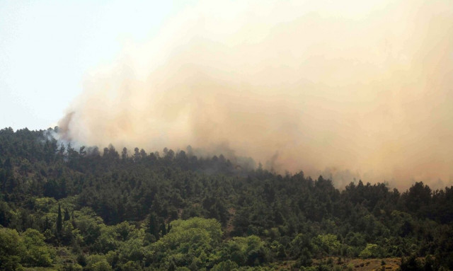 Φωτιά στη Μαγνησία: Εκκενώνονται σπίτια στο Βελεστίνο - Προειδοποιητικό μήνυμα του 112