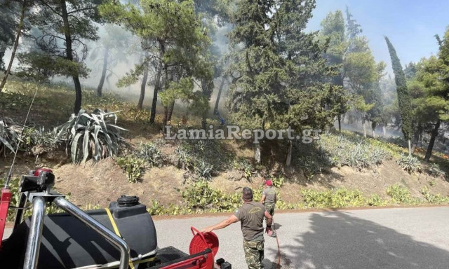 Φωτιά στη Λαμία: Εκκένωση τριών ακόμη περιοχών – Καίγονται σπίτια