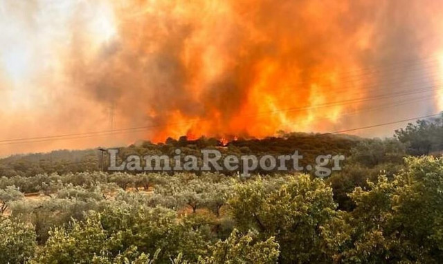 Φωτιά στη Λαμία: Εκκενώνεται το βόρειο τμήμα της πόλης
