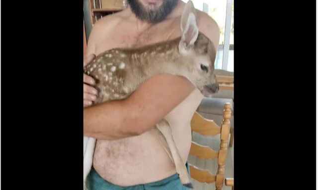 Φωτιά στη Ρόδο: Συγκινητική διάσωση νεογέννητου ελαφιού - Η μαμά του δυστυχώς δε ζει