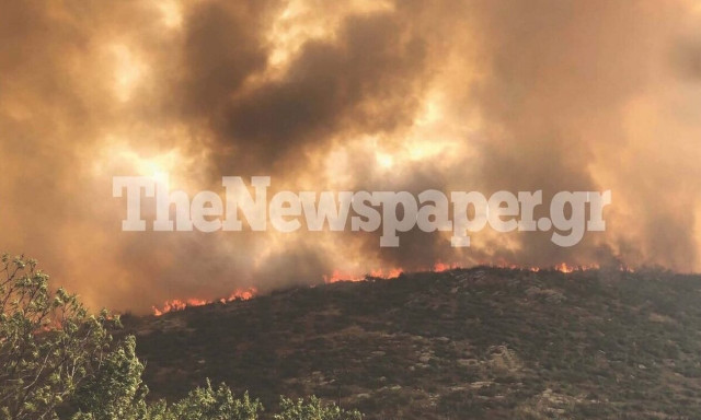 Λαμία: Υπό έλεγχο η φωτιά - Ξεκινά σήμερα η πλήρης καταγραφή των ζημιών