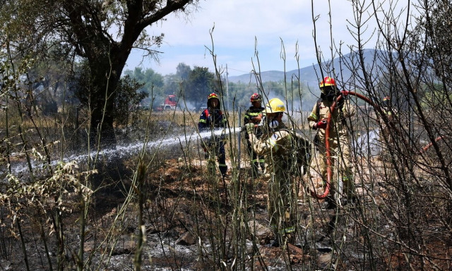 Φωτιά τώρα σε δασική έκταση στην Κηφισιά