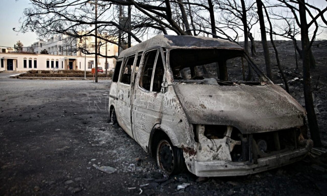 Φωτιές: Ανείπωτη οικολογική καταστροφή – Χιλιάδες απανθρακωμένα ζώα και καμένα στρέμματα γης