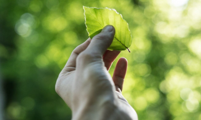 Νέο ΔΣ στον Πανελλήνιο Σύνδεσμο Επιχειρήσεων Προστασίας Περιβάλλοντος