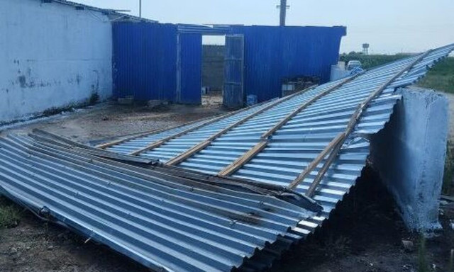 Ξάνθη: Καταστροφές σε καλλιέργειες και κτηνοτροφικές μονάδες από ανεμοστρόβιλο