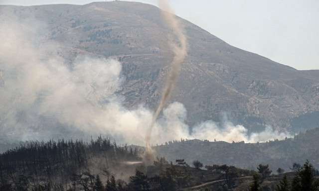 Ρόδος: Το ελάφι και οι πεταλούδες χρειάζονται τον άνθρωπο για να επιβιώσουν την επόμενη μέρα