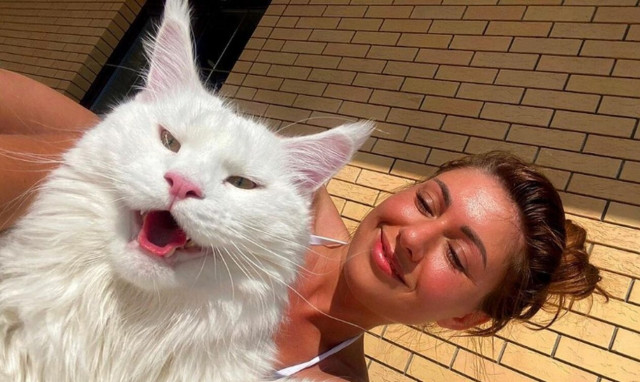 Ο γάτος «Κεφίρ» είναι μεγάλος όσο ένα παιδί: Είναι ο μεγαλύτερος στον κόσμο πιστεύει η ιδιοκτήτρια