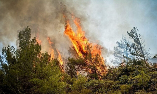 No active fronts in Rhodes, Corfu and Magnesia